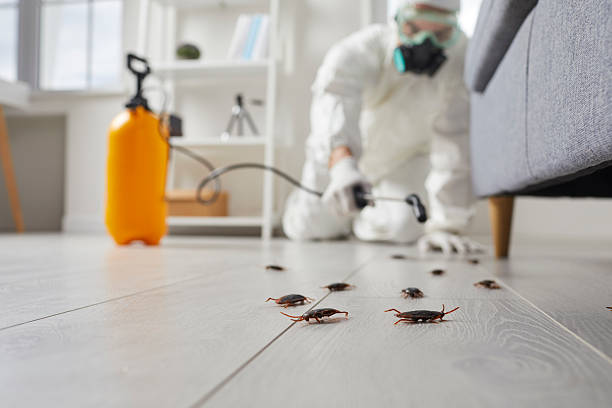 Trusted Mosquito Control service in Orland Park, IL - Nex Pest Control
