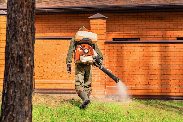 Trusted Ant Control service in Orland Park, IL - Nex Pest Control